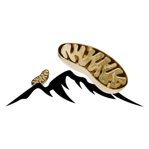 Höhentraining/IHHT Praxis für Integrative Medizin Erfurt